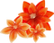 dulcineia8 flores - bezmaksas png animēts GIF