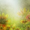 Kaz_Creations Deco  Backgrounds Background Autumn