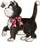 Kaz_Creations Cats Cat Kitten - бесплатно png анимированный гифка