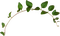 kikkapink border leaves - Free PNG Animated GIF