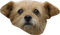 Tete chien - bezmaksas png animēts GIF
