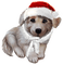 Christmas. Dog. Winter. Leila - ingyenes png animált GIF
