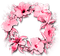 soave frame deco spring flowers circle pink - PNG gratuit GIF animé