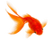 fish   Bb2 - ücretsiz png animasyonlu GIF