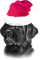 soave dog animals christmas deco black white pink - kostenlos png Animiertes GIF