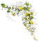 Kaz_Creations Deco Corner Flowers Colours - bezmaksas png animēts GIF