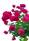 цветы - Δωρεάν κινούμενο GIF κινούμενο GIF
