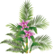 angelblue6,flower-fern