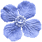 Blue Animated Flower - By KittyKatLuv65