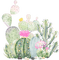 cacti Bb2 - darmowe png animowany gif