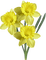 Frühling, Blumen - ilmainen png animoitu GIF