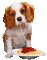 dog bp - Zdarma animovaný GIF animovaný GIF