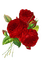 Roses rouges - ilmainen png animoitu GIF