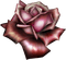 Flowers burgundy bp - PNG gratuit GIF animé