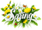 Kaz_Creations Spring Flowers Text Butterfly Ladybug Deco - PNG gratuit GIF animé