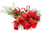 fleur rose rouge - ilmainen png animoitu GIF