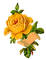 Rose-RM - png gratuito GIF animata