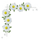 deco frame corner flowers kikkapink vintage daisy - bezmaksas png animēts GIF