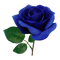 kikkapink deco scrap blue rose - zdarma png animovaný GIF