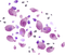 flowers - безплатен png анимиран GIF