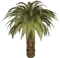 palm by nataliplus - ilmainen png animoitu GIF