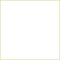 cadre frame green