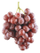 виноград - png gratis GIF animasi