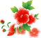 All my lovely flowers - gratis png geanimeerde GIF