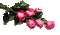 ruže - Besplatni animirani GIF animirani GIF
