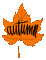 Text Autumn - GIF animasi gratis GIF animasi