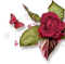 Trandafir 24 - ingyenes png animált GIF