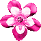 Snowflake.Flower.Pink.Animated - KittyKatLuv65 - GIF animé gratuit GIF animé