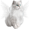 fantasy cat by nataliplus - darmowe png animowany gif