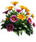 Flores - png gratuito GIF animata