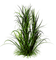 herbe.Cheyenne63 - Free PNG Animated GIF