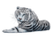 white tiger - Free PNG Animated GIF