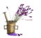 Lavender.Lavande.Pot.Victoriabea - PNG gratuit GIF animé