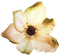 autumn sepia flower kikkapink deco - kostenlos png Animiertes GIF