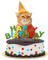 Happy Birthday, Torte, Katze - bezmaksas png animēts GIF