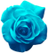 Rose.Blue - безплатен png анимиран GIF