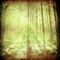 forest background - gratis png animerad GIF