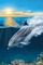 dolphin -Nitsa - ücretsiz png animasyonlu GIF