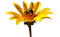 Bee Flower - Bogusia - Free PNG Animated GIF