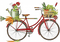 vélo.Cheyenne63 - Free PNG Animated GIF