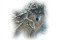 Kaz_Creations Animals Wolves - kostenlos png Animiertes GIF