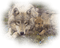 wolf with cub bp - png gratis GIF animado