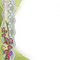 Cadre.Frame.Green.Lace.Victoriabea - 免费PNG 动画 GIF