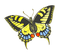 Butterfly - gratis png animeret GIF