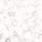 White Background
