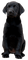 black dog by nataliplus - gratis png geanimeerde GIF